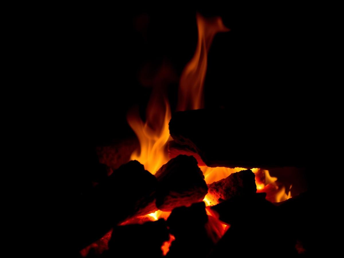 Leña de encino encendida con brasa viva
